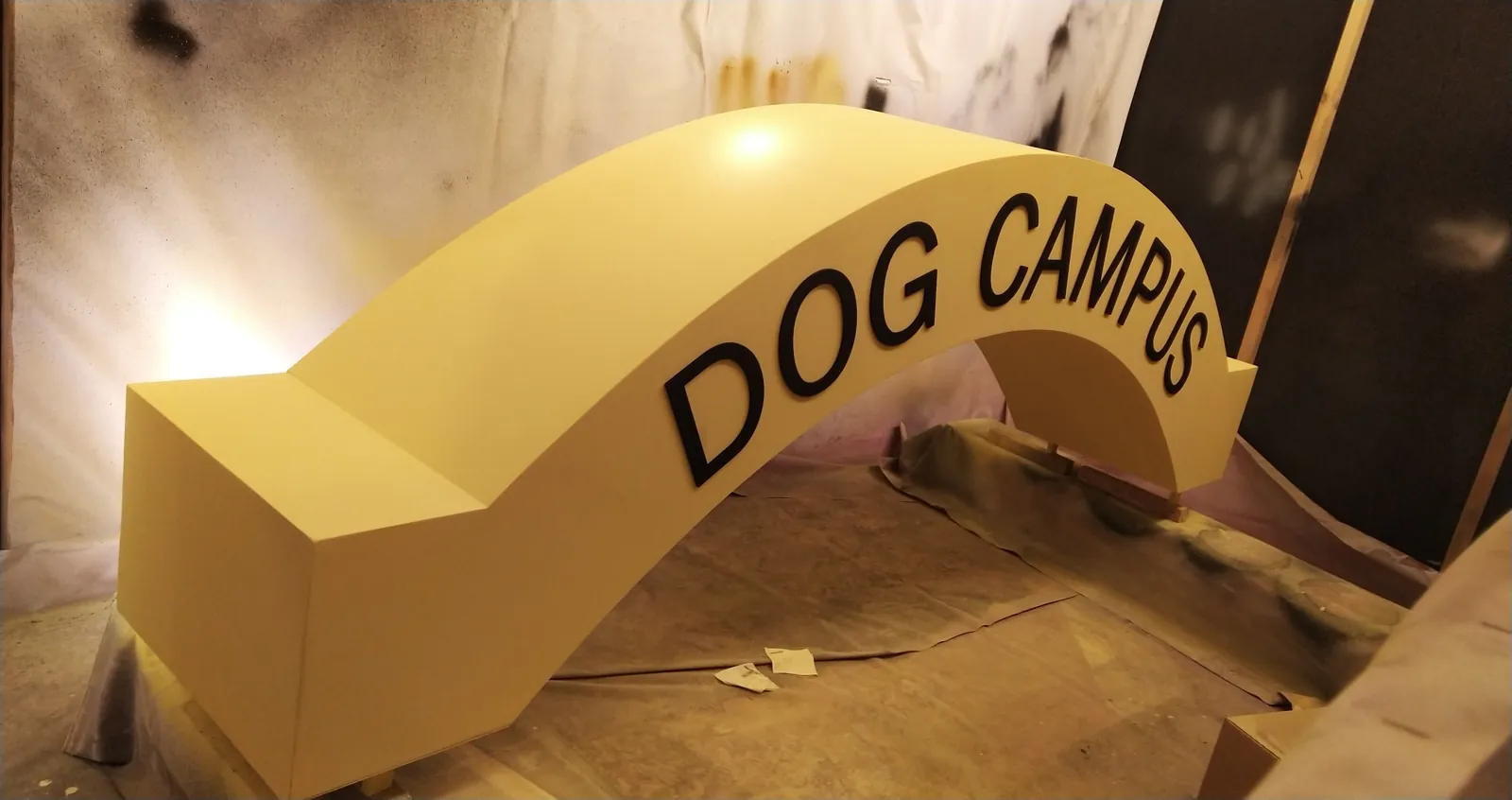 Dog campus Purina — event decor project built by SLY Production, photo 5