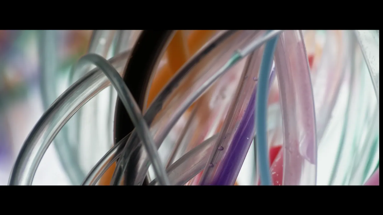 Music video — custom project built by SLY Production, photo 6