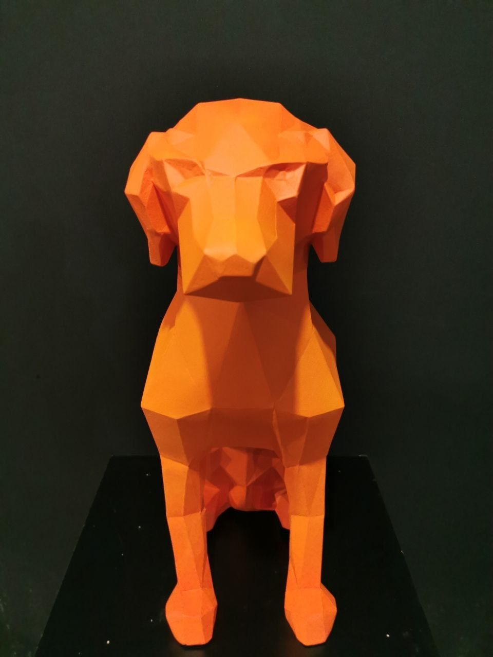 poly — Projekt von SLY Production, Foto 10