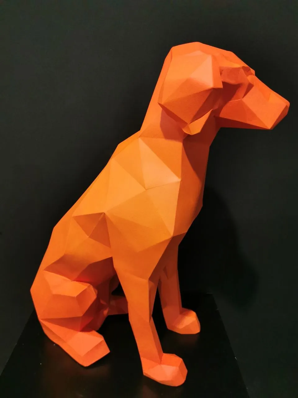 poly — custom project built by SLY Production, photo 11