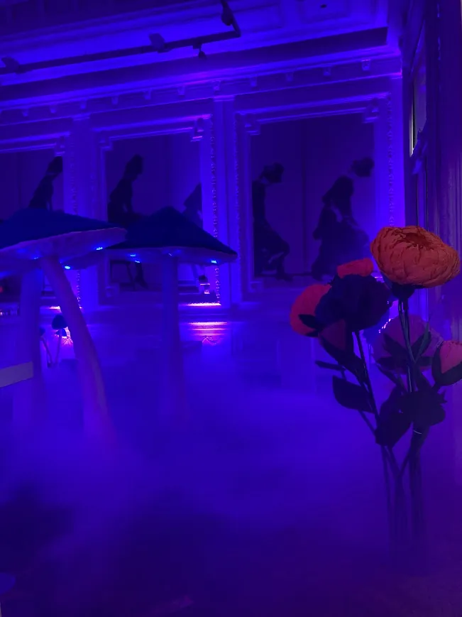 Private Party — event decor project built by SLY Production, photo 3